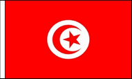 Tunisia Hand Waving Flags